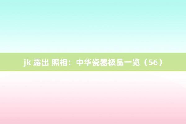jk 露出 照相：中华瓷器极品一览（56）