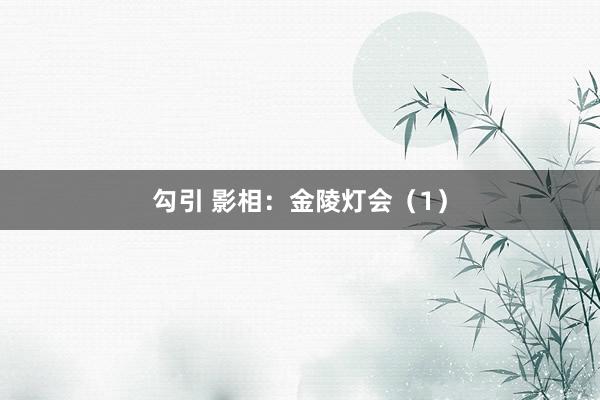 勾引 影相：金陵灯会（1）