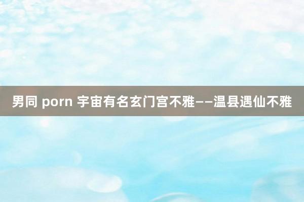 男同 porn 宇宙有名玄门宫不雅——温县遇仙不雅