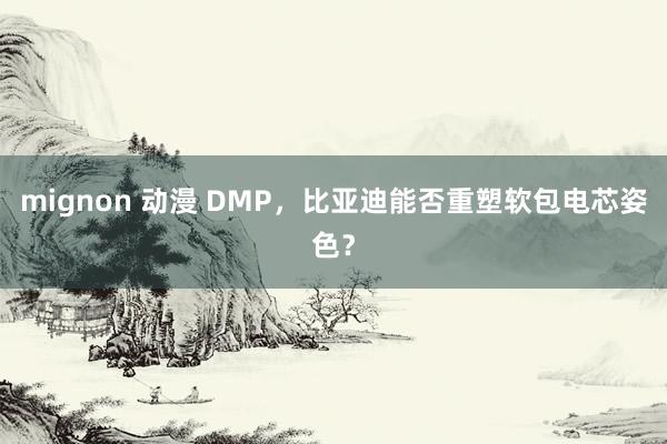 mignon 动漫 DMP，比亚迪能否重塑软包电芯姿色？