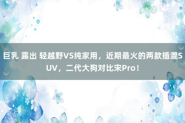 巨乳 露出 轻越野VS纯家用，近期最火的两款插混SUV，二代大狗对比宋Pro！
