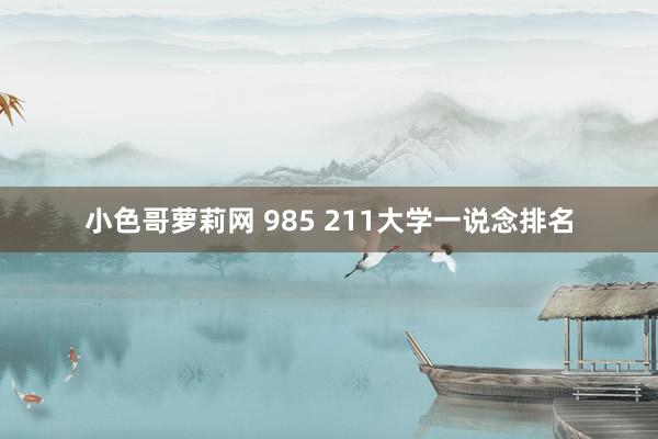 小色哥萝莉网 985 211大学一说念排名