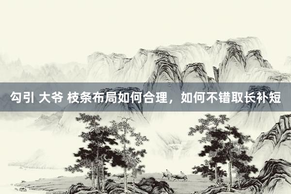 勾引 大爷 枝条布局如何合理，如何不错取长补短