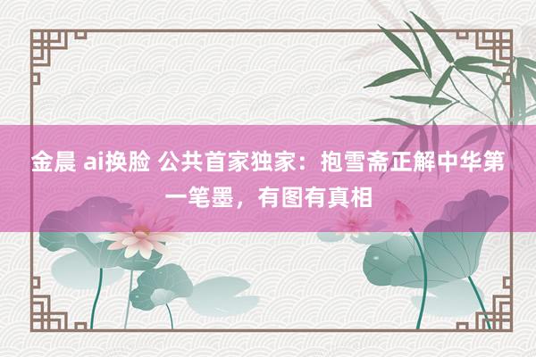 金晨 ai换脸 公共首家独家：抱雪斋正解中华第一笔墨，有图有真相