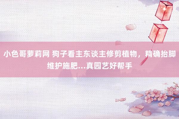 小色哥萝莉网 狗子看主东谈主修剪植物，精确抬脚维护施肥...真园艺好帮手