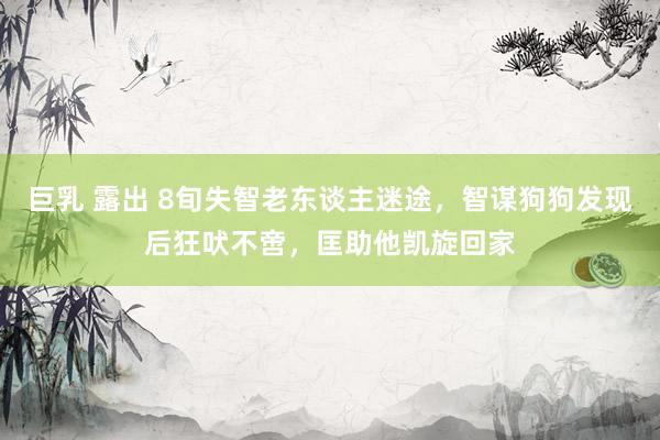 巨乳 露出 8旬失智老东谈主迷途，智谋狗狗发现后狂吠不啻，匡助他凯旋回家