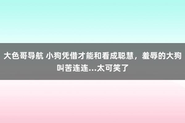 大色哥导航 小狗凭借才能和看成聪慧，羞辱的大狗叫苦连连...太可笑了