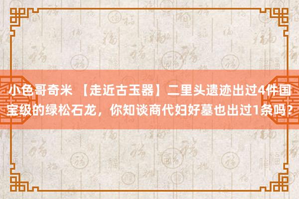 小色哥奇米 【走近古玉器】二里头遗迹出过4件国宝级的绿松石龙，你知谈商代妇好墓也出过1条吗？