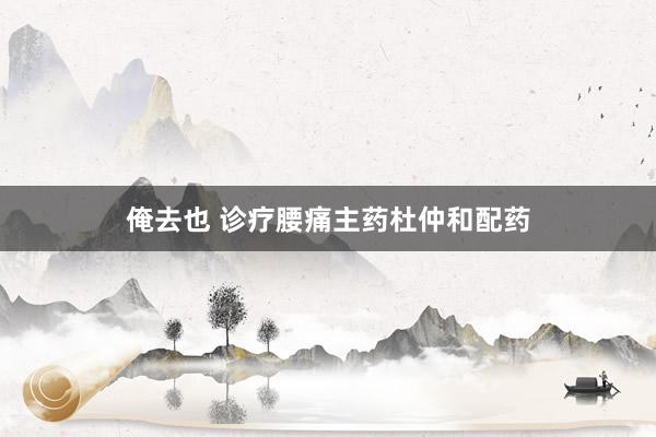 俺去也 诊疗腰痛主药杜仲和配药