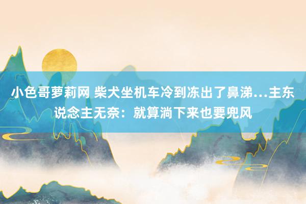 小色哥萝莉网 柴犬坐机车冷到冻出了鼻涕…主东说念主无奈：就算淌下来也要兜风