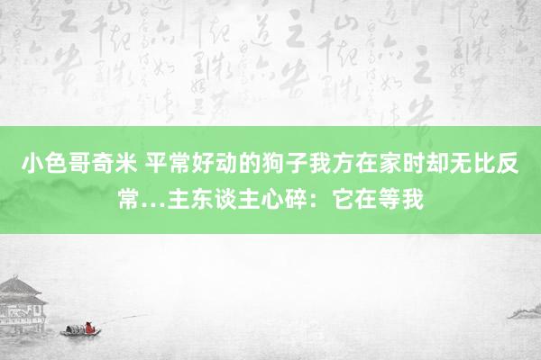 小色哥奇米 平常好动的狗子我方在家时却无比反常…主东谈主心碎：它在等我