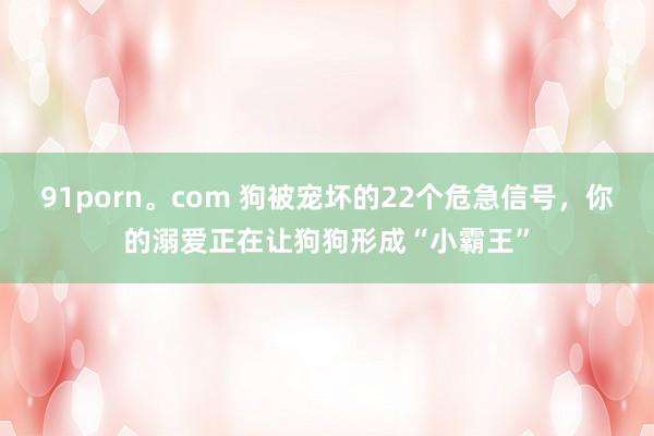 91porn。com 狗被宠坏的22个危急信号，你的溺爱正在让狗狗形成“小霸王”