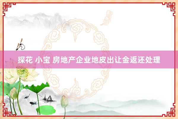 探花 小宝 房地产企业地皮出让金返还处理