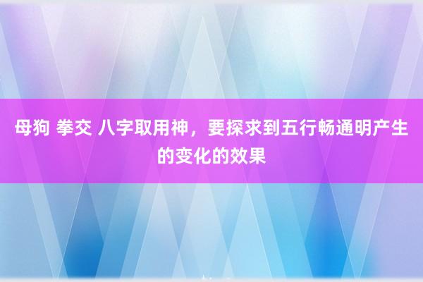 母狗 拳交 八字取用神，要探求到五行畅通明产生的变化的效果